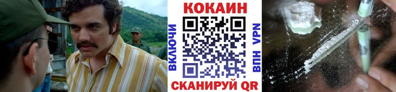 MEGA зеркало  Вольск  Кокаин Fish Scale 