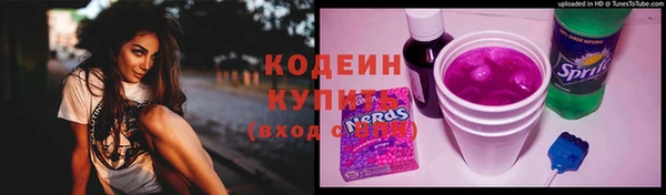 индика Дедовск