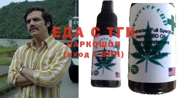 индика Дедовск