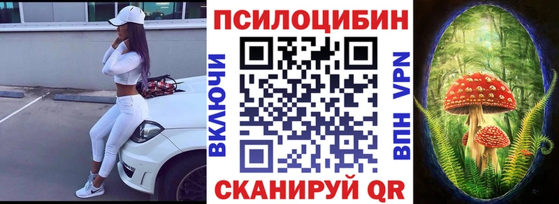Галлюциногенные грибы Cubensis цены Вольск