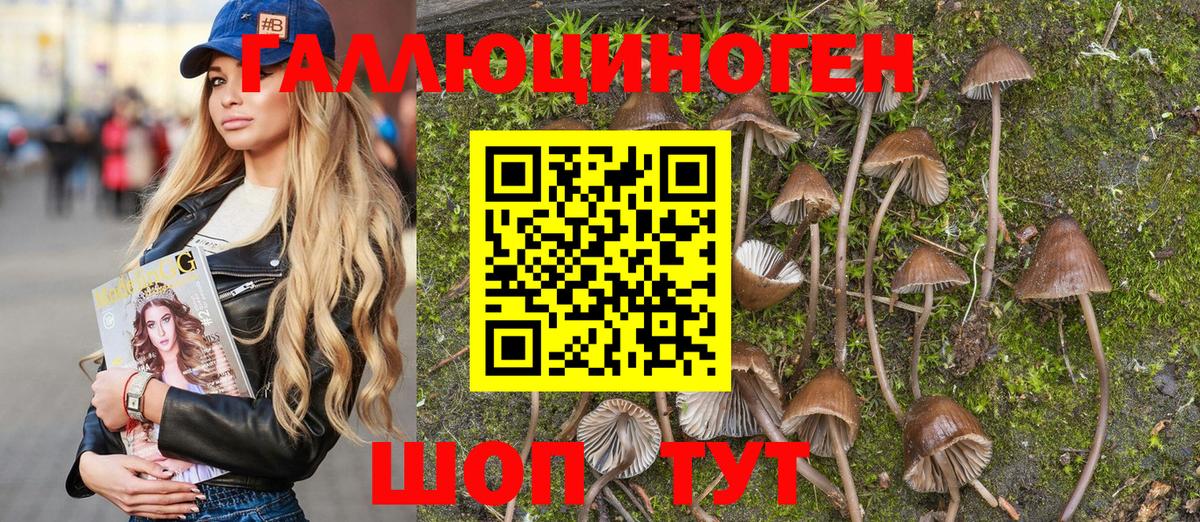 Галлюциногенные грибы Psilocybine cubensis Вольск