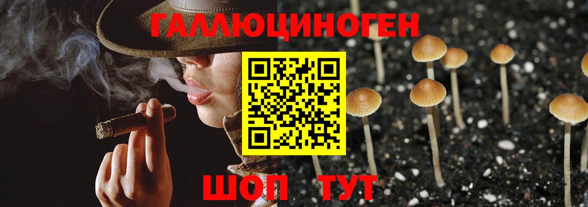 Галлюциногенные грибы GOLDEN TEACHER  Псилоцибиновые грибы прущие грибы  Вольск 